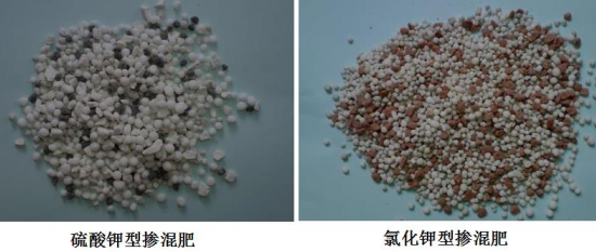 县级以上人民政府应当给予一定支持